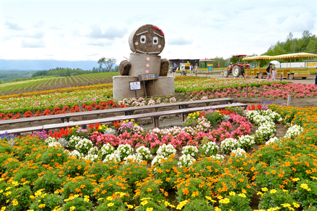 Stacks of hay pile up as welcoming icon to tourists visiting the flower field at Shikisai-no-oka in Hokkaido, Japanのeditorial素材