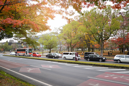 Trees along the street start turning to red in Nara, Japanのeditorial素材