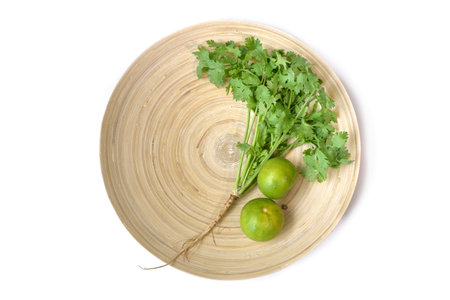 Coriander leaves on white background - isolated