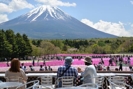 Many people enjoy the view of Fuji mountain and pink moss during Fuji Shibazakura Festival, Kawagujiko Japanのeditorial素材