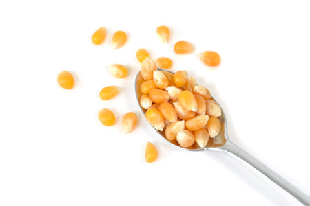 Corn kernel on white background - isolated
