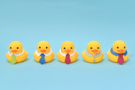 Office life concept, rubber ducks are waring neckties, ready to workの写真素材