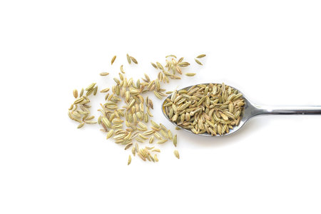 Fennel seed in a spoon on white background from top view