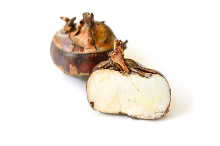 Chinese water chestnut on white background - isolatedの写真素材