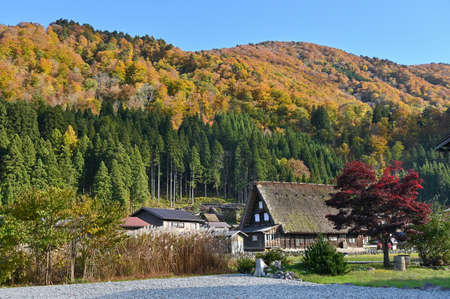 Gassho-zukuri farmhouse in autumn at  Shirakawa-go, Japanの写真素材