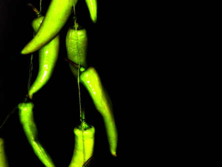 Green Peppersの写真素材