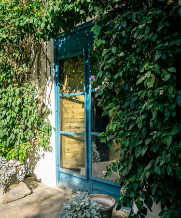 Mysterious blue door half hidden behind ivy and some plants during the dayの写真素材