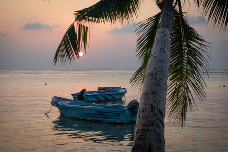 Beach landscape at sunset with two boats and a palm tree giving a deep sense of relaxation and calmの写真素材