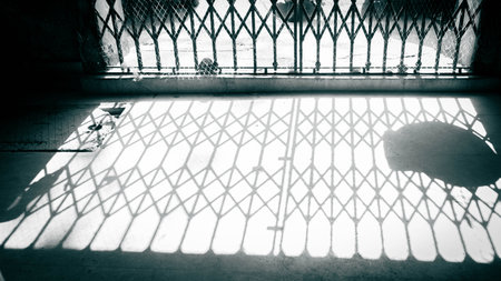 Monochromatic photo of a grid and its shadow representing loneliness, reflection, sadnessの写真素材