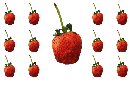 Strawberry white backgroundの写真素材