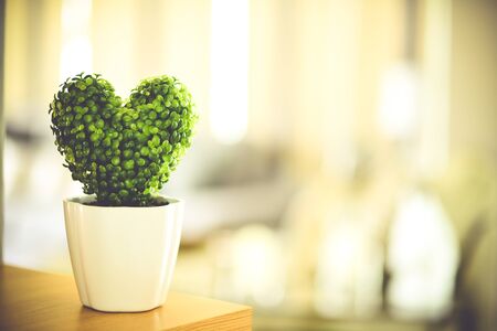 Heart-shaped treeの写真素材