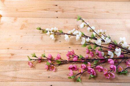 flowers on wooden backgroundの写真素材