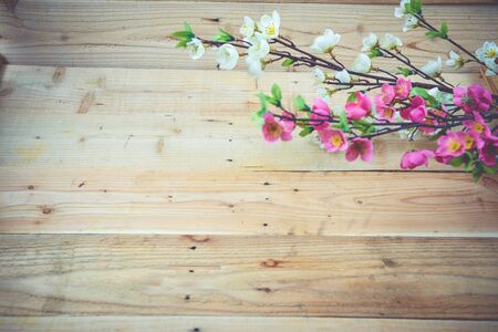 flowers on wooden backgroundの写真素材