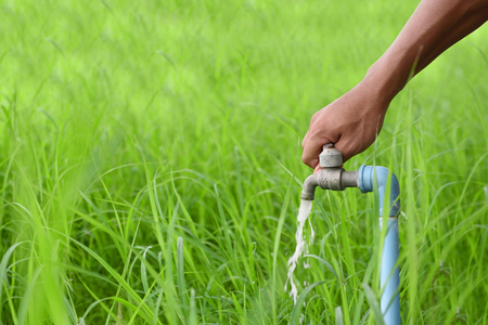 Faucets for watering,And other usesの写真素材