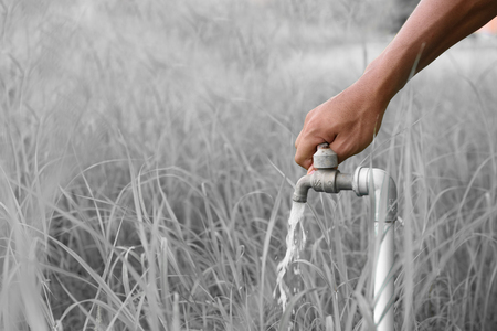 Faucets for watering,And other usesの写真素材