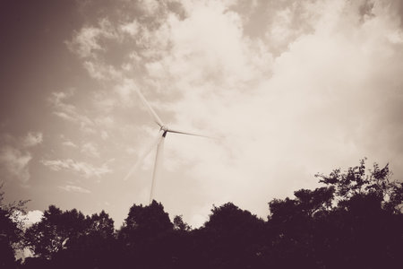 Wind turbines used for electricity production in the summer.
