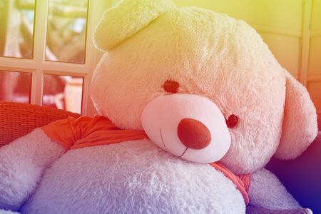 Bear In The Coffee Shop,Close upの写真素材