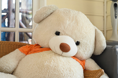 Bear In The Coffee Shop,Close upの写真素材