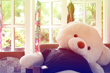 Bear In The Coffee Shop,Close upの写真素材