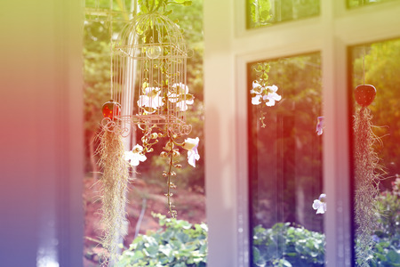 windowsの写真素材