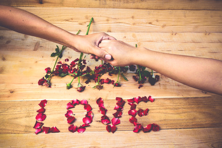 Red roses love vintage,soft focusの写真素材