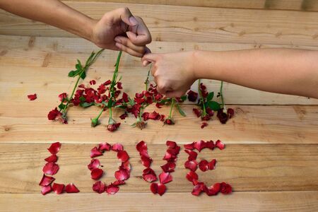 Red roses love vintage,soft focusの写真素材