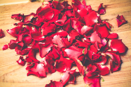 Red roses,soft focusの写真素材