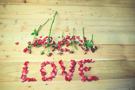 Red roses love vintage,soft focusの写真素材