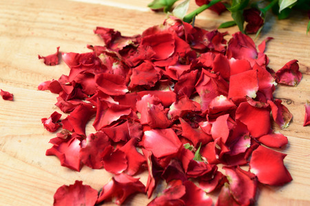 Red roses,soft focusの写真素材
