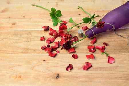 Red roses,soft focusの写真素材