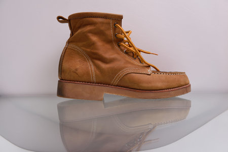 Brown leather shoes