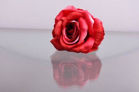 Fake roses,On glass as background.の写真素材