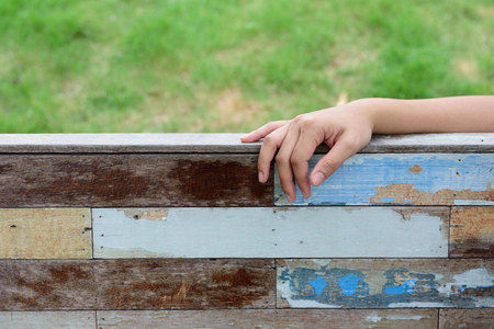 wood texturewood texture background,Vintage Styleの写真素材