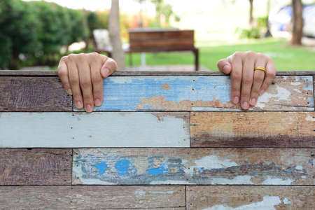 wood texturewood texture background,Vintage Styleの写真素材