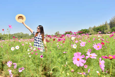 Cosmos flower,Cosmos flowers beautiful woman.の写真素材