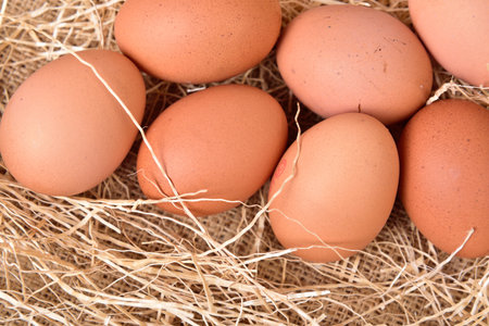Chicken Egg,Fresh farm eggs on a wooden background.