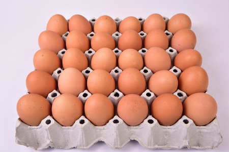 Chicken Egg,Fresh farm eggs on isolated background.の写真素材