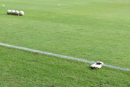 football field,Football field for competition