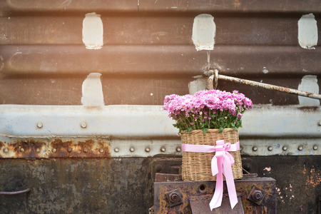 Lovely pink chrysanthemum flowers in the bamboo basket on the rusted steel background for love.の写真素材