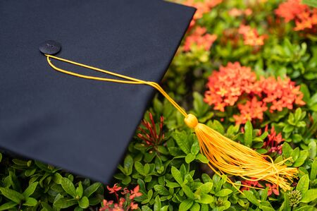 Black Graduation Hat placed on spike flowerの写真素材