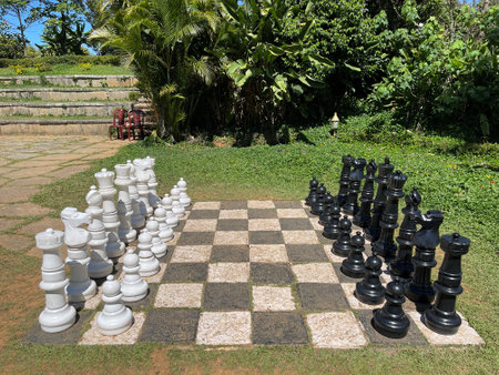A game of Chess?の写真素材