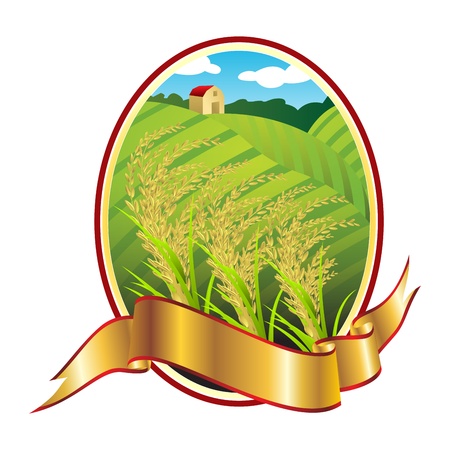Emblem of Thai rice, Thai white riceのイラスト素材