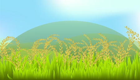rice, thai, Thailand, white, illustration, Jasmine Riceのイラスト素材