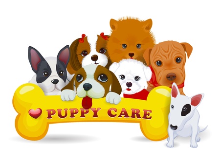  illustration of different dog breeds and boneのイラスト素材