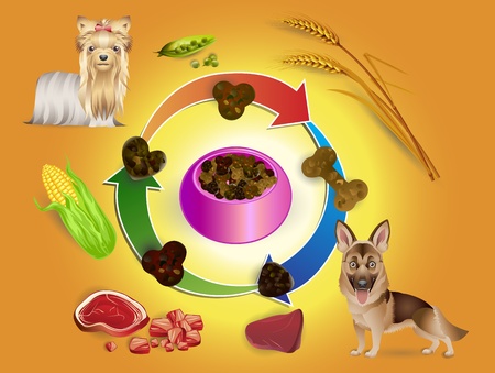 illustration of food in bowls and pet feed ingredients for a dogのイラスト素材