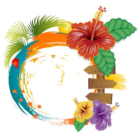 Hibiscus flowers and summer frame on white background.のイラスト素材