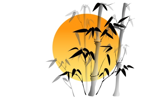 Branches of a bamboo on white background with the sun at backのイラスト素材