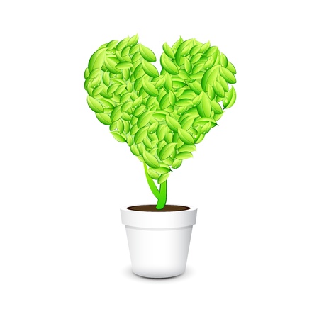 Heart shaped plant in a pot Isolated white backgroundのイラスト素材