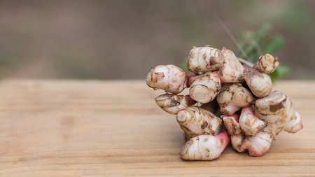 Galanga, Greater Galangal, Thailand herb has medicinal properties and Cooking ingredients,の写真素材