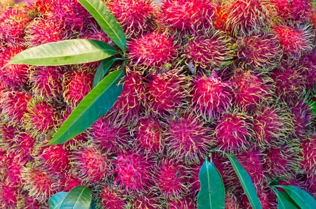 Rambutan with leafs fresh fruit for delicious food の写真素材